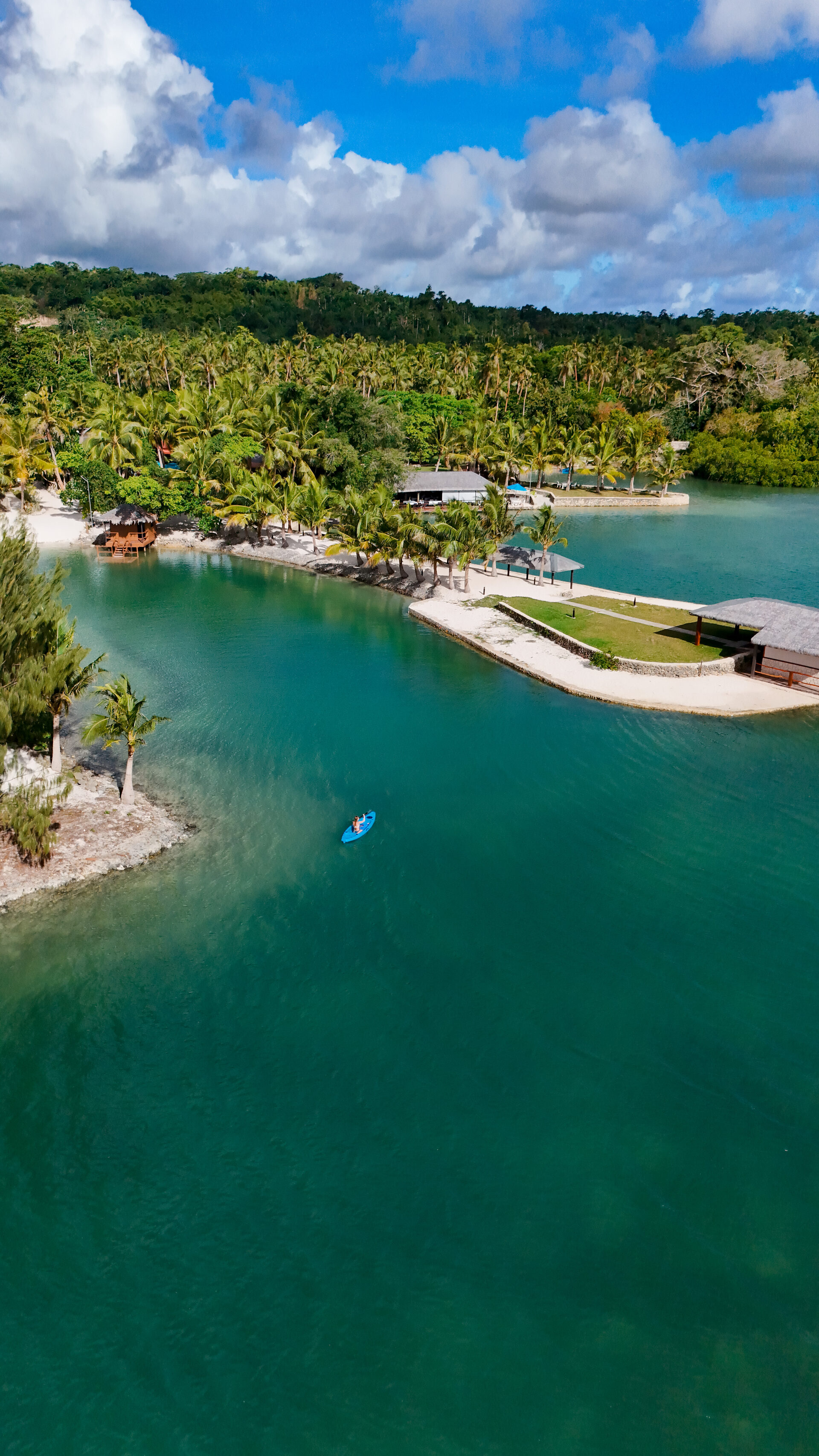 Snorkelling Near E'Nauwi & the Resident Dugongs — E'Nauwi Beach Resort, Efate Vanuatu